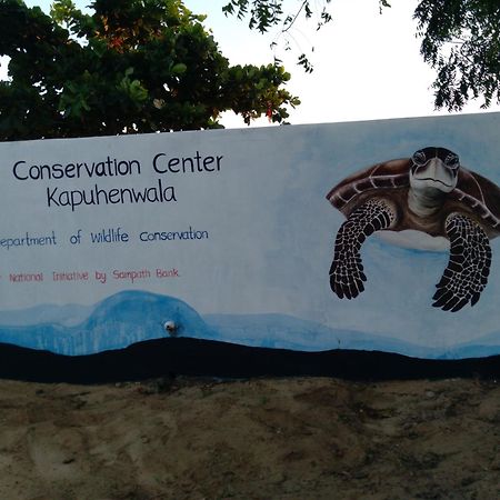 Jasmin Homestay Marakolliya Tangalle Exteriér fotografie