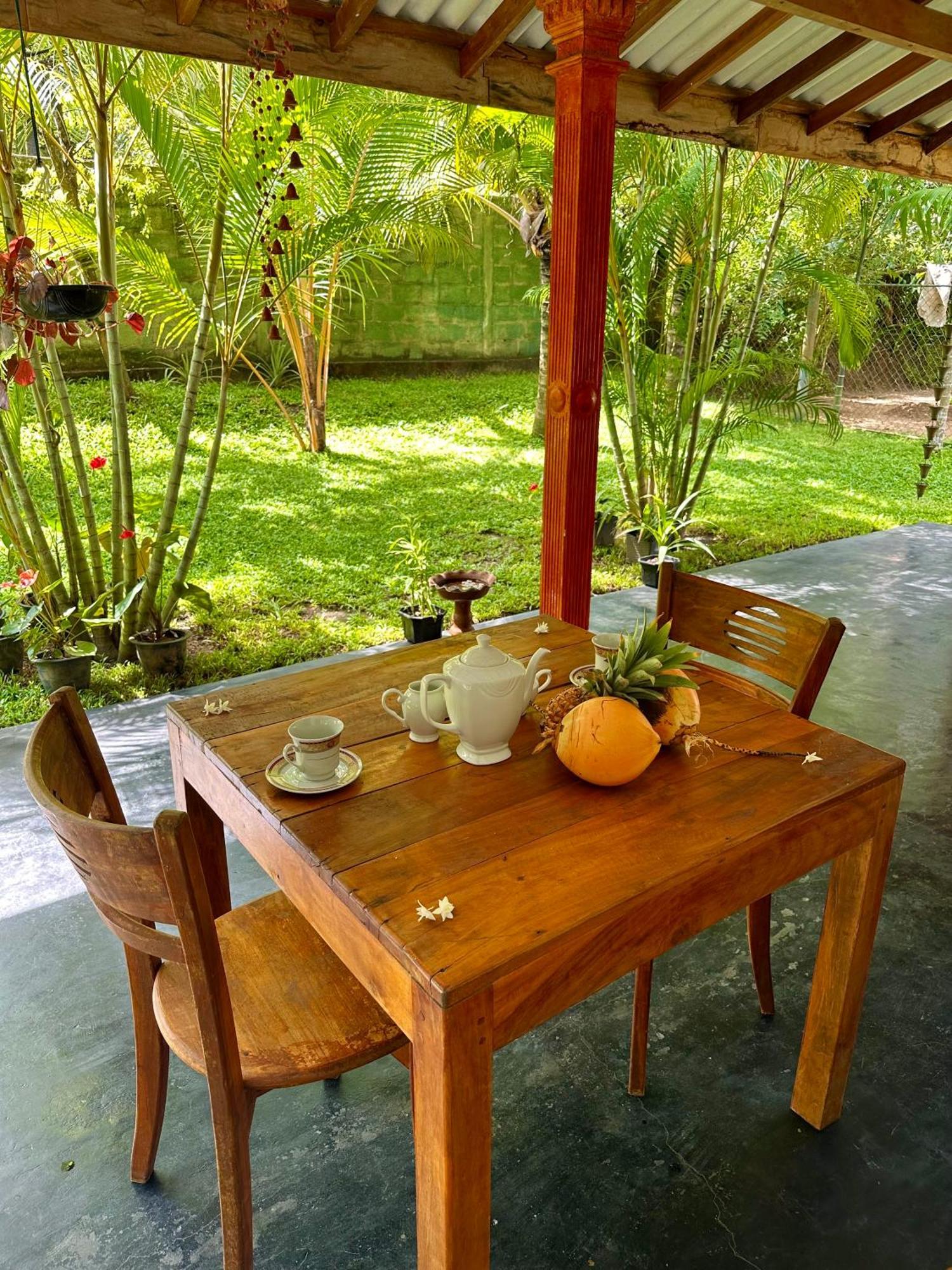 Jasmin Homestay Marakolliya Tangalle Exteriér fotografie
