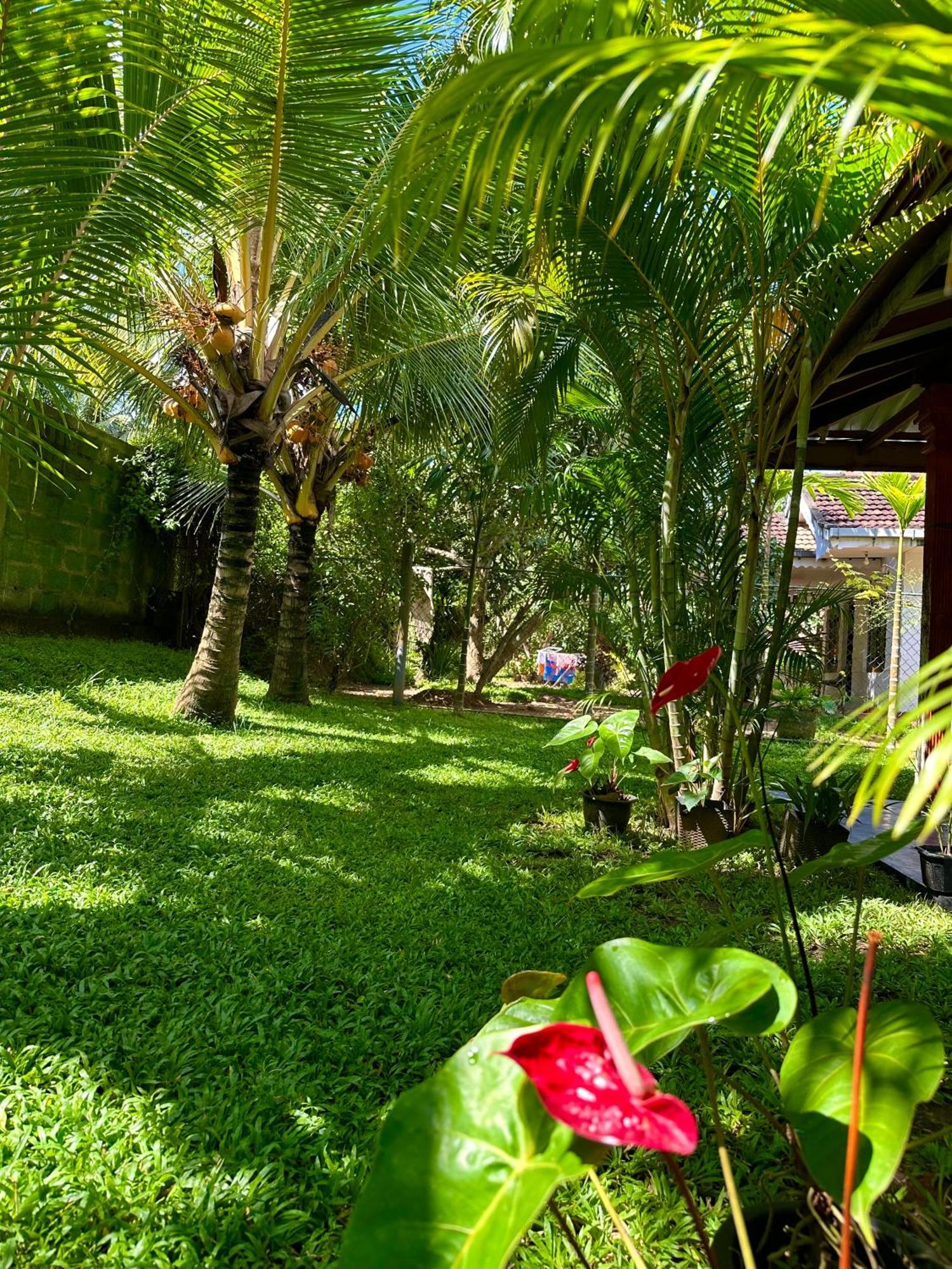 Jasmin Homestay Marakolliya Tangalle Exteriér fotografie