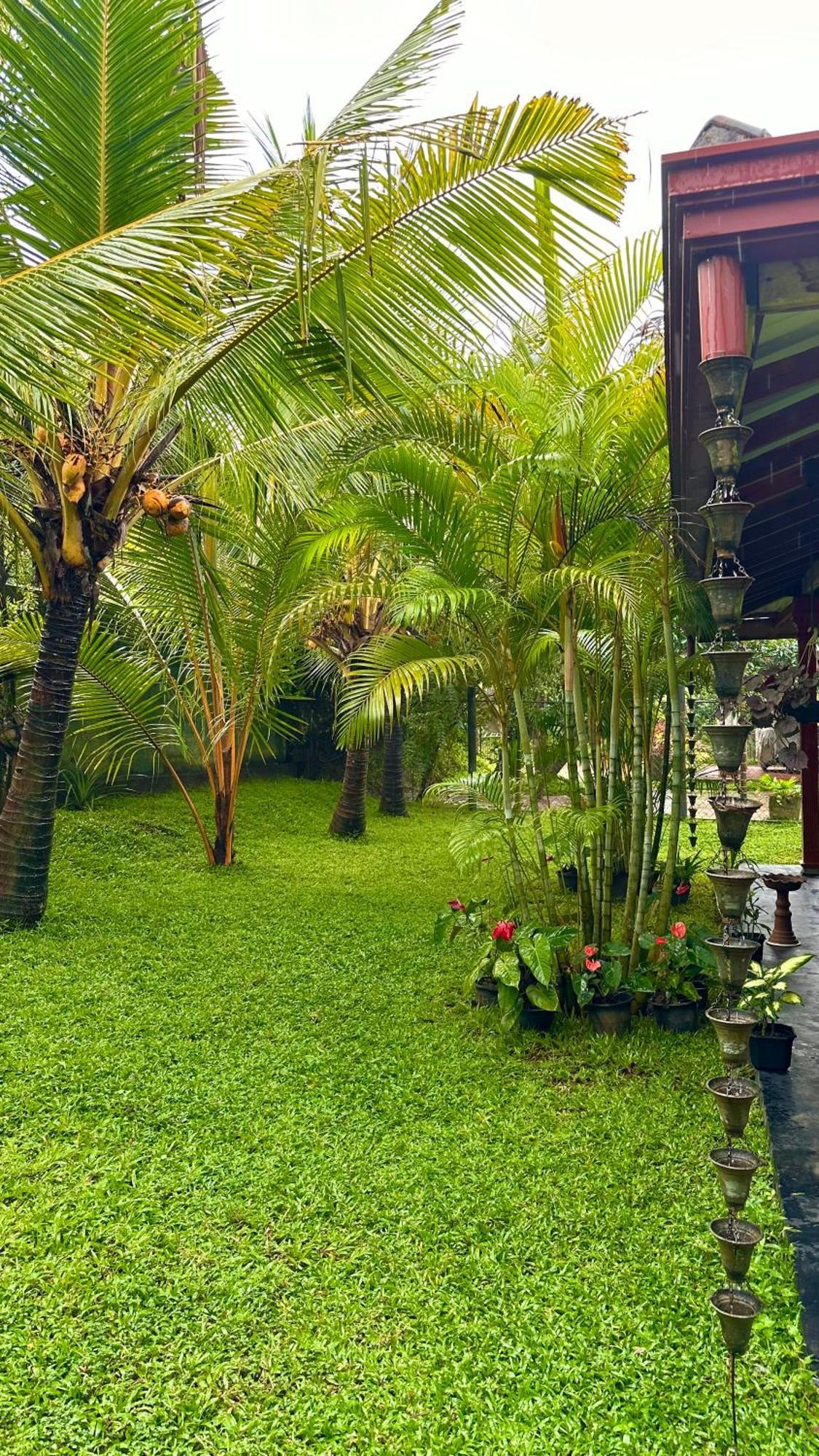 Jasmin Homestay Marakolliya Tangalle Exteriér fotografie