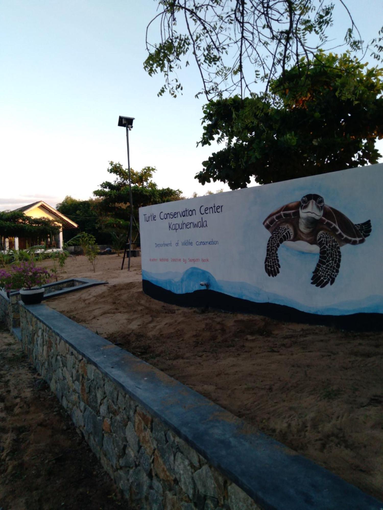 Jasmin Homestay Marakolliya Tangalle Exteriér fotografie