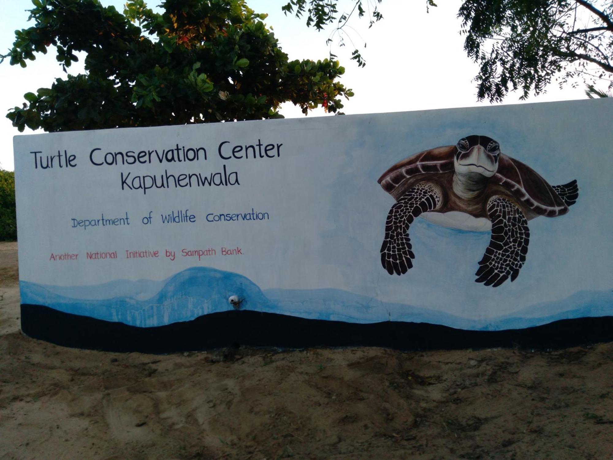Jasmin Homestay Marakolliya Tangalle Exteriér fotografie